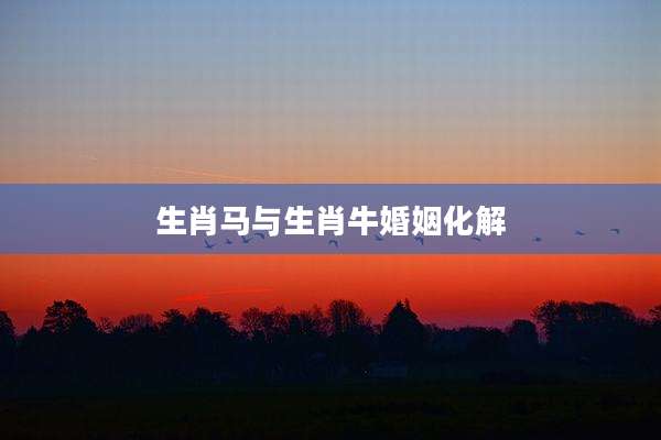 生肖马与生肖牛婚姻化解