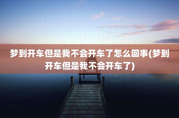 梦到开车但是我不会开车了怎么回事(梦到开车但是我不会开车了)