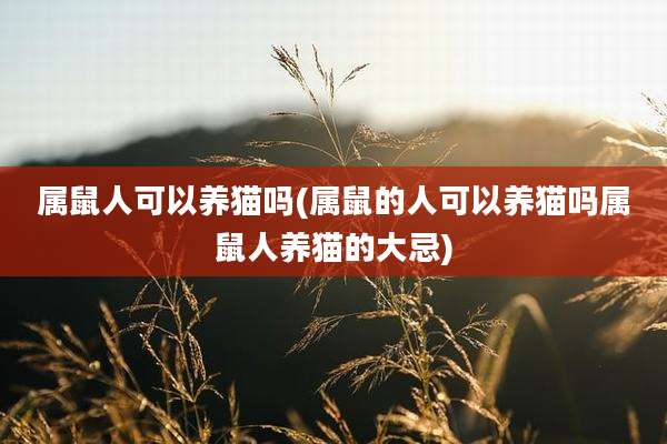 属鼠人可以养猫吗(属鼠的人可以养猫吗属鼠人养猫的大忌)