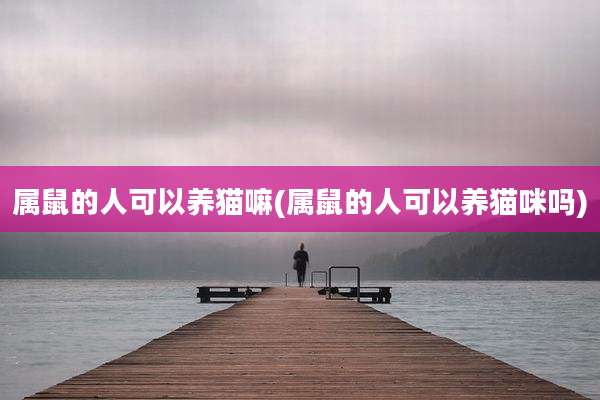 属鼠的人可以养猫嘛(属鼠的人可以养猫咪吗)