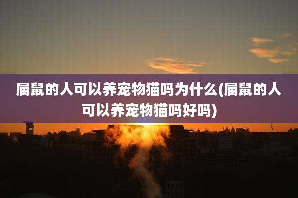 属鼠的人可以养宠物猫吗为什么(属鼠的人可以养宠物猫吗好吗)