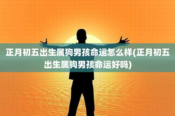 正月初五出生属狗男孩命运怎么样(正月初五出生属狗男孩命运好吗)