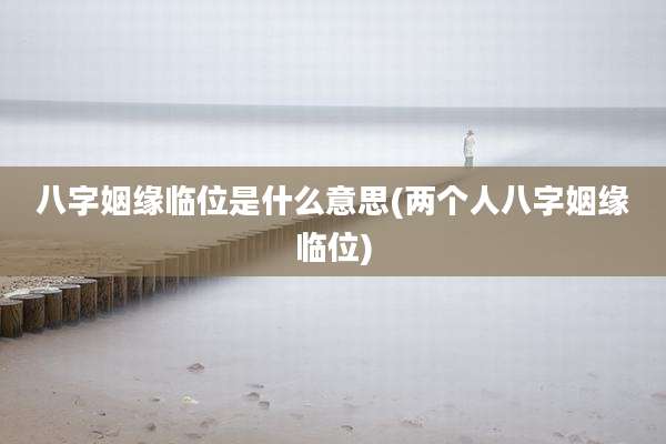 八字姻缘临位是什么意思(两个人八字姻缘临位)