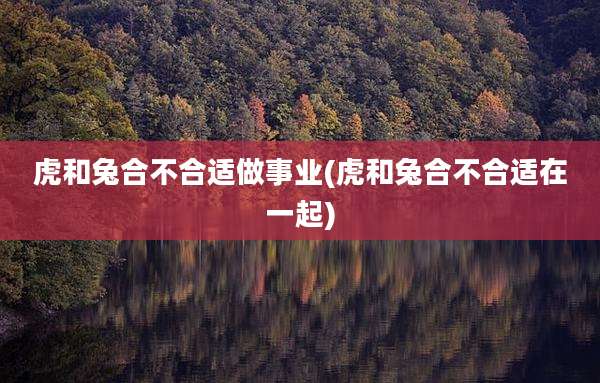 虎和兔合不合适做事业(虎和兔合不合适在一起)