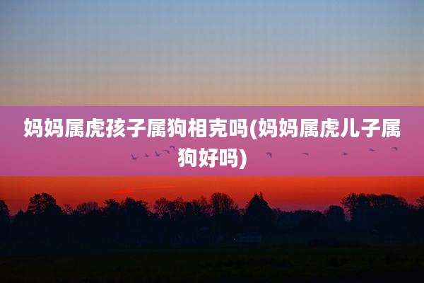 妈妈属虎孩子属狗相克吗(妈妈属虎儿子属狗好吗)