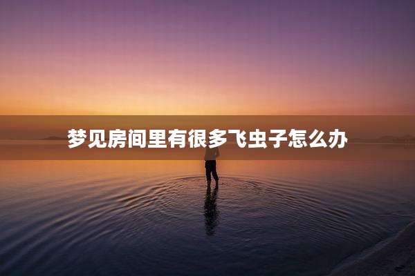 梦见房间里有很多飞虫子怎么办