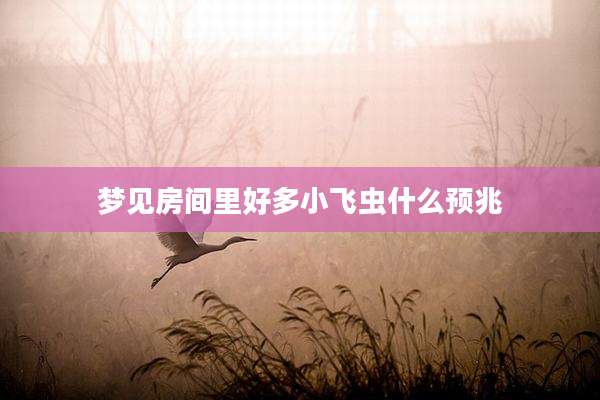 梦见房间里好多小飞虫什么预兆