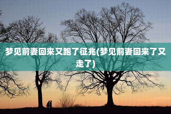 梦见前妻回来又跑了征兆(梦见前妻回来了又走了)