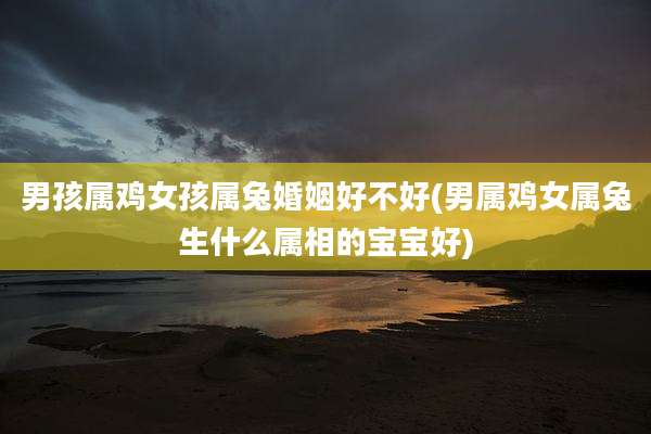 男孩属鸡女孩属兔婚姻好不好(男属鸡女属兔生什么属相的宝宝好)