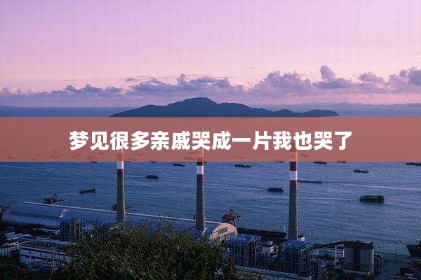 梦见很多亲戚哭成一片我也哭了