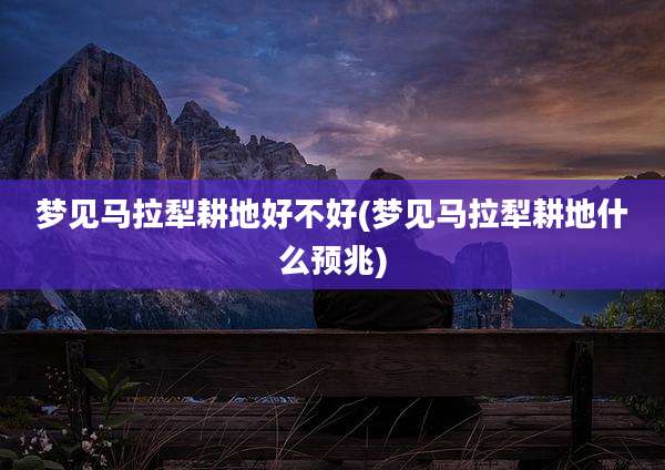 梦见马拉犁耕地好不好(梦见马拉犁耕地什么预兆)