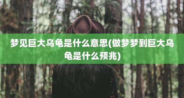 梦见巨大乌龟是什么意思(做梦梦到巨大乌龟是什么预兆)