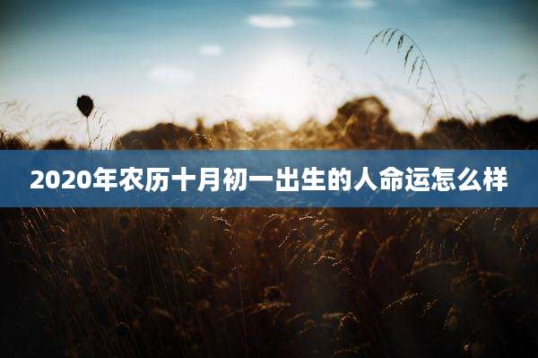 2020年农历十月初一出生的人命运怎么样