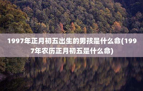1997年正月初五出生的男孩是什么命(1997年农历正月初五是什么命)
