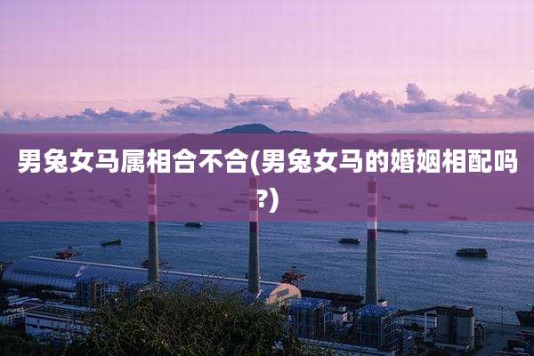 男兔女马属相合不合(男兔女马的婚姻相配吗?)