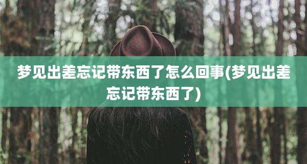 梦见出差忘记带东西了怎么回事(梦见出差忘记带东西了)