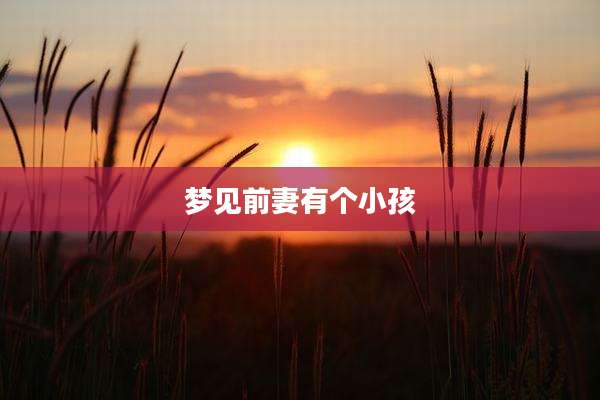 梦见前妻有个小孩