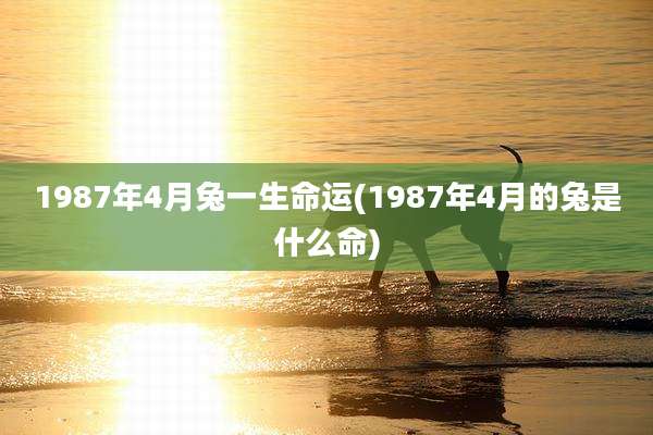 1987年4月兔一生命运(1987年4月的兔是什么命)