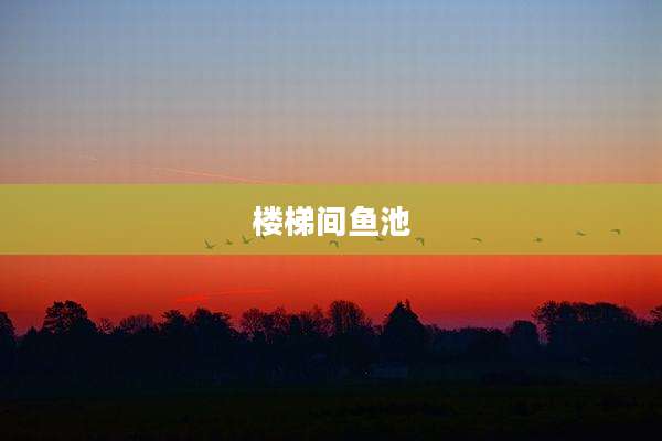 楼梯间鱼池