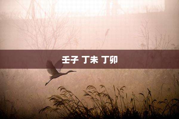 壬子 丁未 丁卯