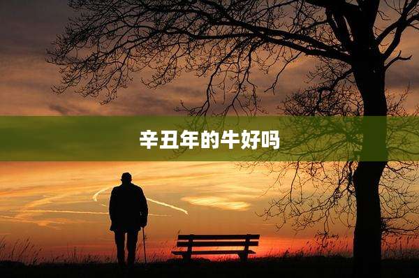 辛丑年的牛好吗