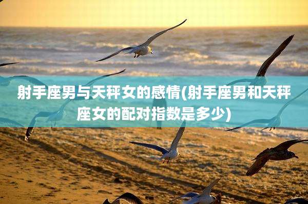 射手座男与天秤女的感情(射手座男和天秤座女的配对指数是多少)