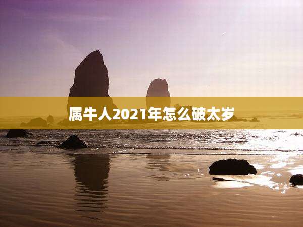 属牛人2021年怎么破太岁