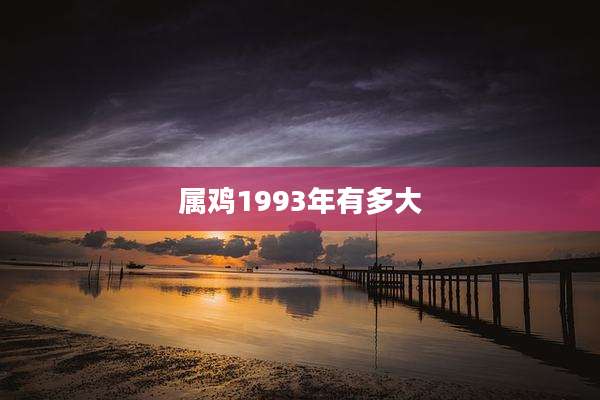 属鸡1993年有多大
