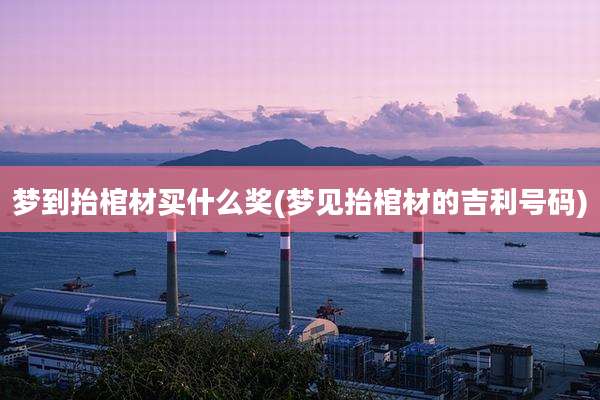 梦到抬棺材买什么奖(梦见抬棺材的吉利号码)