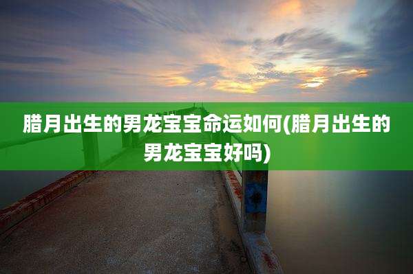 腊月出生的男龙宝宝命运如何(腊月出生的男龙宝宝好吗)