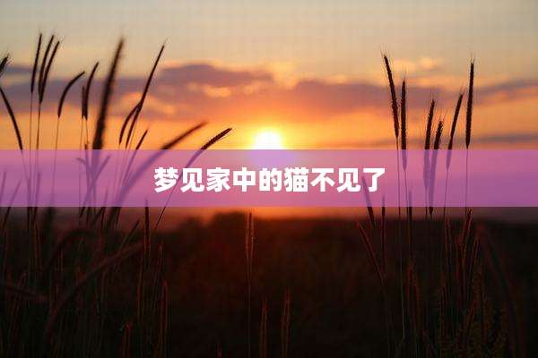 梦见家中的猫不见了