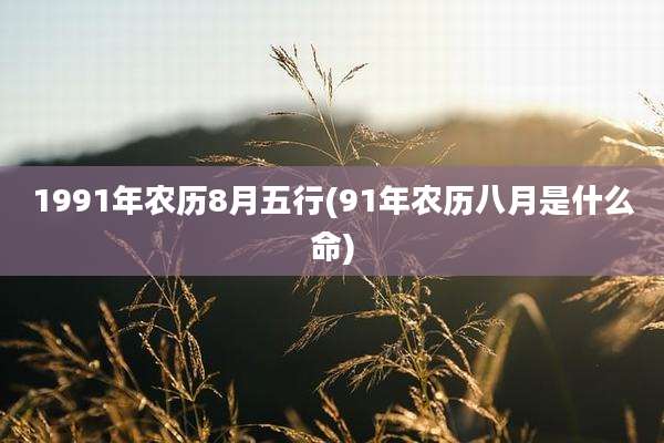 1991年农历8月五行(91年农历八月是什么命)