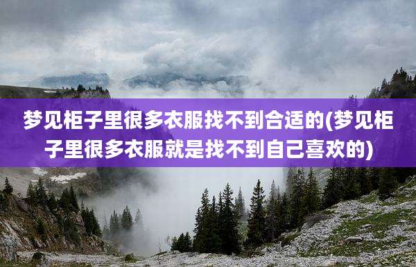梦见柜子里很多衣服找不到合适的(梦见柜子里很多衣服就是找不到自己喜欢的)