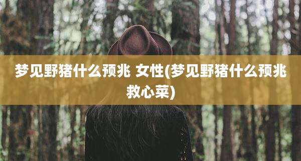 梦见野猪什么预兆 女性(梦见野猪什么预兆救心菜)