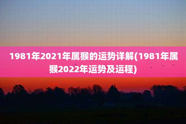 1981年2021年属猴的运势详解(1981年属猴2022年运势及运程)