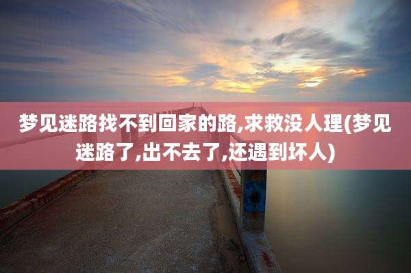 梦见迷路找不到回家的路,求救没人理(梦见迷路了,出不去了,还遇到坏人)