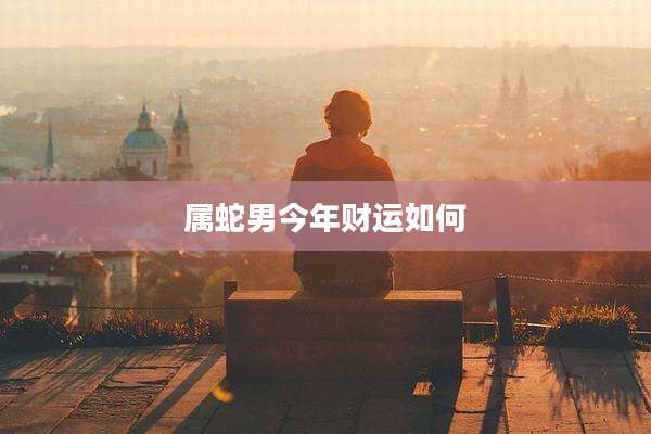 属蛇男今年财运如何