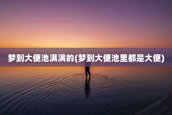 梦到大便池满满的(梦到大便池里都是大便)