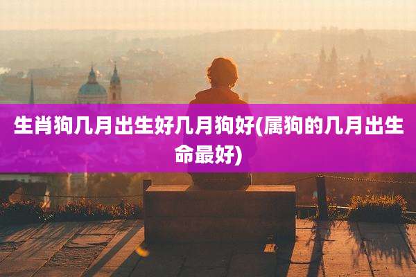 生肖狗几月出生好几月狗好(属狗的几月出生命最好)