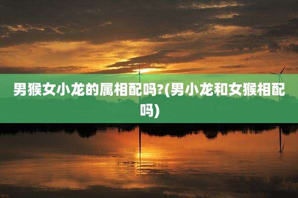 男猴女小龙的属相配吗?(男小龙和女猴相配吗)