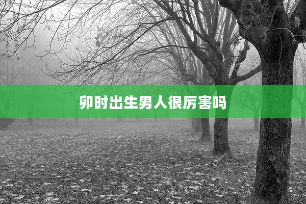 卯时出生男人很厉害吗