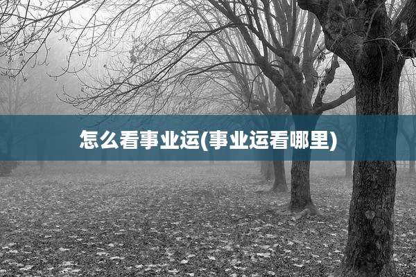 怎么看事业运(事业运看哪里)