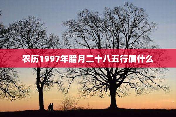 农历1997年腊月二十八五行属什么