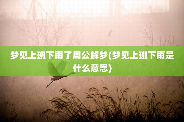 梦见上班下雨了周公解梦(梦见上班下雨是什么意思)