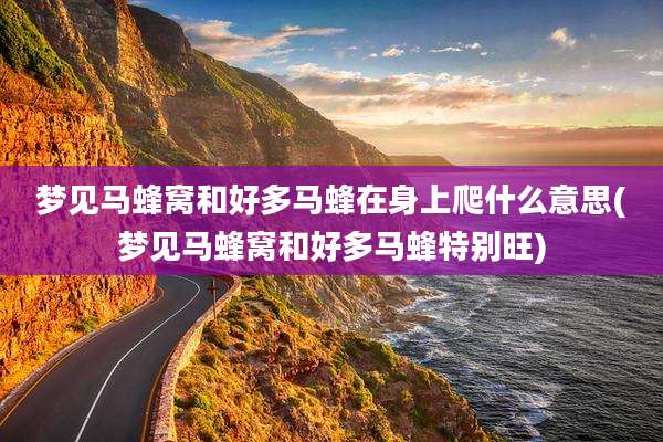 梦见马蜂窝和好多马蜂在身上爬什么意思(梦见马蜂窝和好多马蜂特别旺)