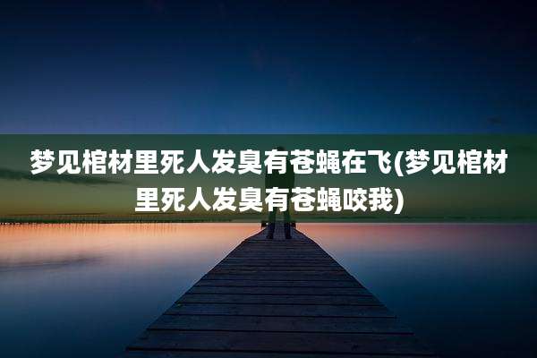 梦见棺材里死人发臭有苍蝇在飞(梦见棺材里死人发臭有苍蝇咬我)