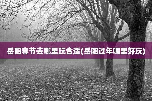 岳阳春节去哪里玩合适(岳阳过年哪里好玩)