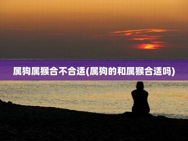 属狗属猴合不合适(属狗的和属猴合适吗)