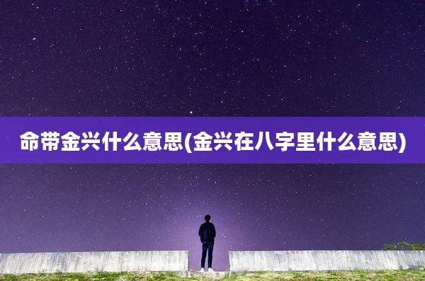命带金兴什么意思(金兴在八字里什么意思)