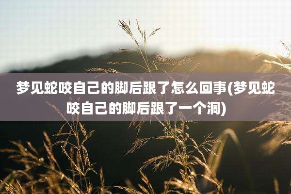 梦见蛇咬自己的脚后跟了怎么回事(梦见蛇咬自己的脚后跟了一个洞)